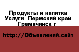 Продукты и напитки Услуги. Пермский край,Гремячинск г.